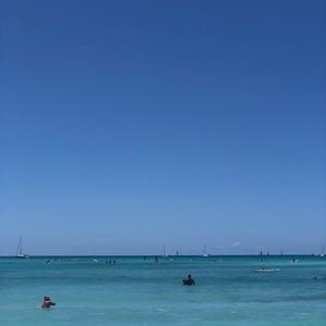 Meet your Posher, Shane